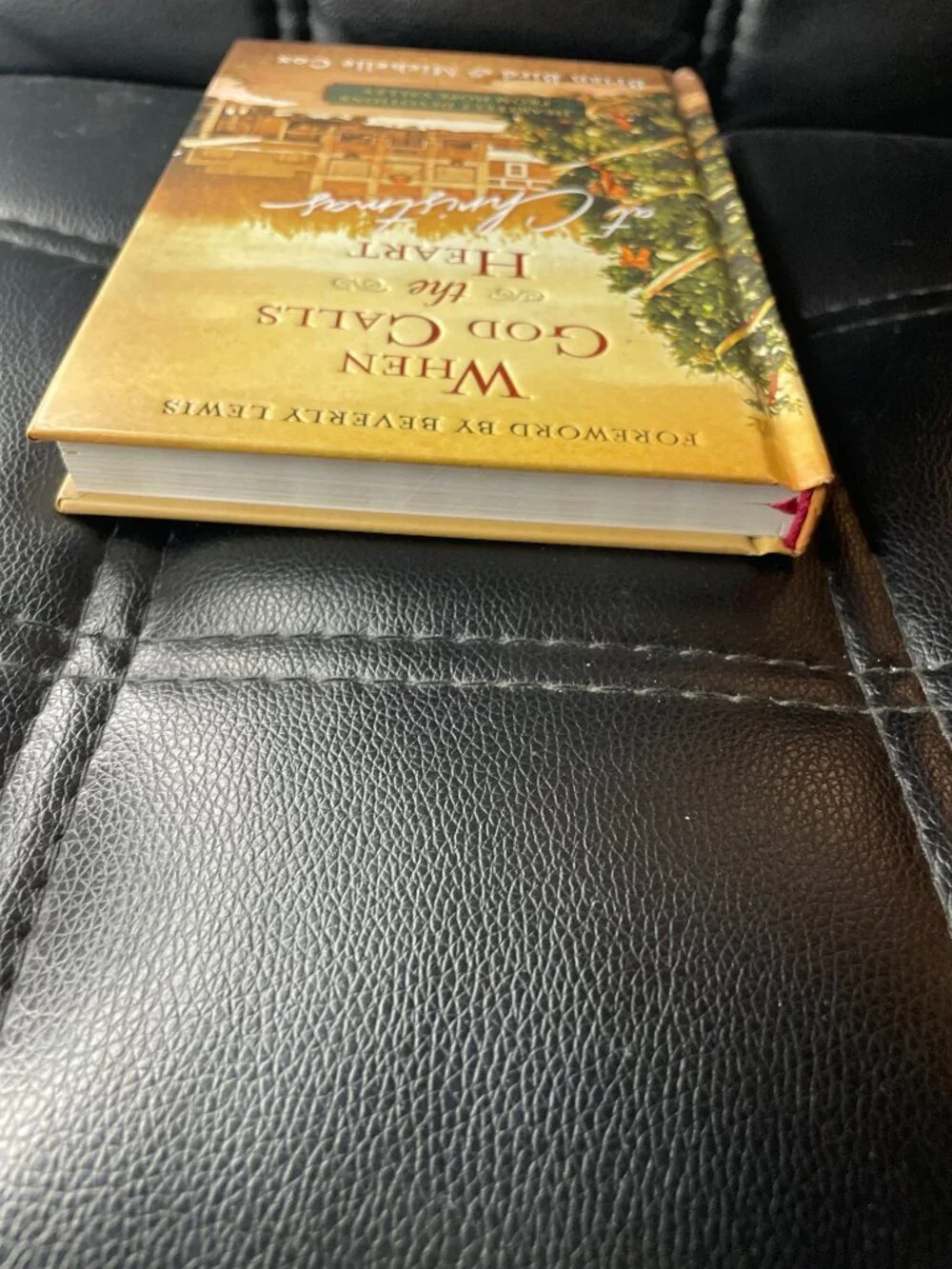 When God Calls the Heart at Christmas: Heartfelt Devotions from Hope Valley